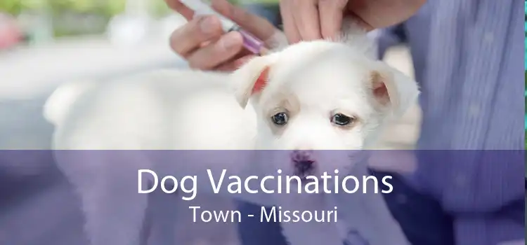 Dog Vaccinations Town - Missouri
