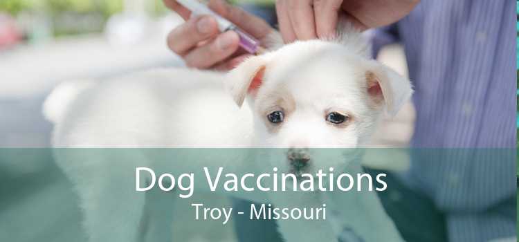 Dog Vaccinations Troy - Missouri