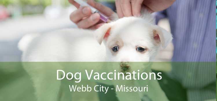 Dog Vaccinations Webb City - Missouri