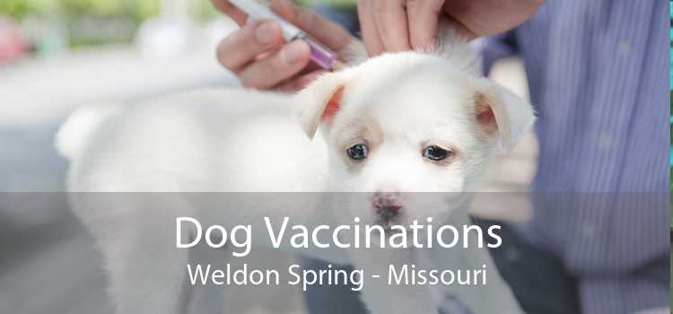 Dog Vaccinations Weldon Spring - Missouri