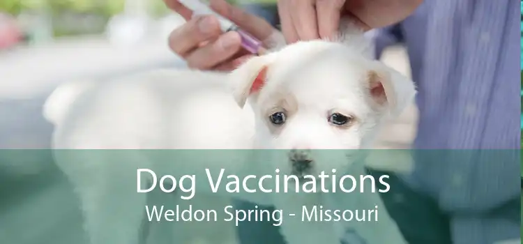 Dog Vaccinations Weldon Spring - Missouri
