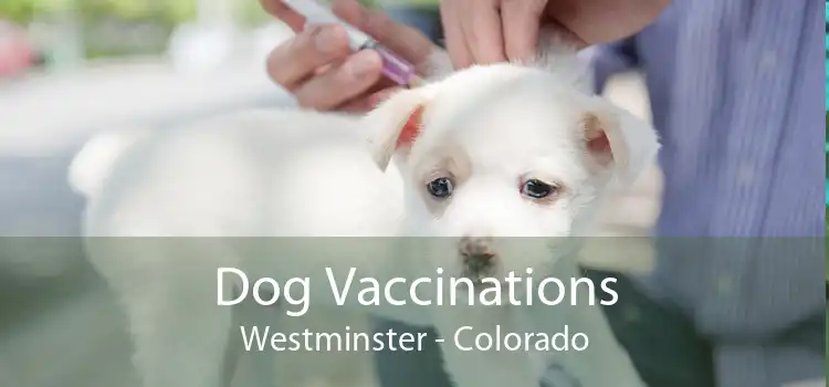 Dog Vaccinations Westminster - Colorado