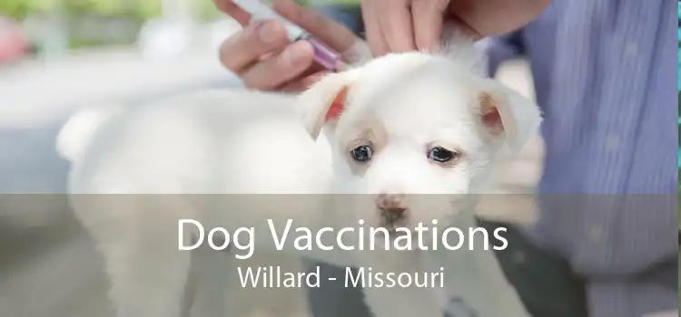Dog Vaccinations Willard - Missouri
