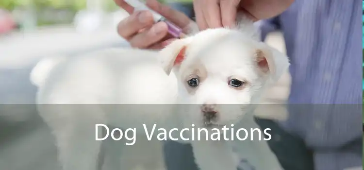 Dog Vaccinations