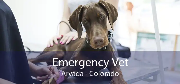 Emergency Vet Arvada - Colorado