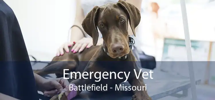 Emergency Vet Battlefield - Missouri