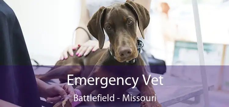 Emergency Vet Battlefield - Missouri