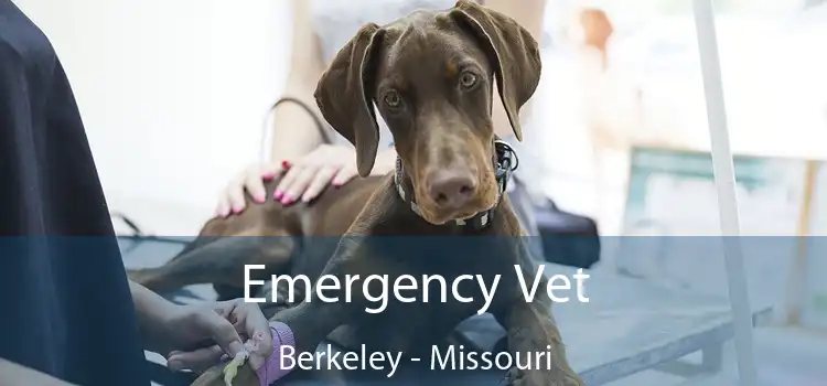 Emergency Vet Berkeley - Missouri