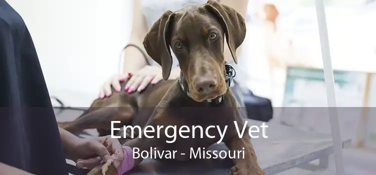 Emergency Vet Bolivar - Missouri