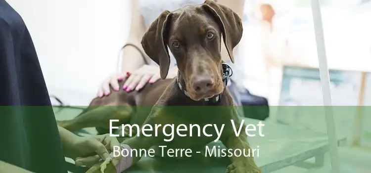 Emergency Vet Bonne Terre - Missouri