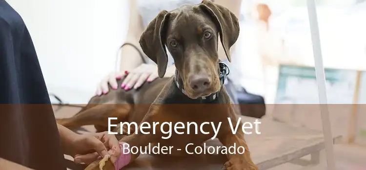Emergency Vet Boulder - Colorado