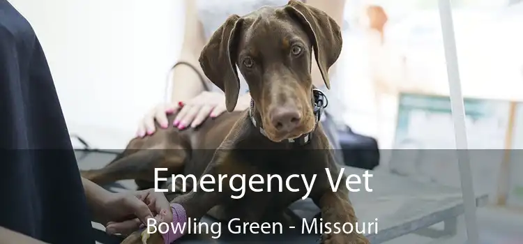 Emergency Vet Bowling Green - Missouri
