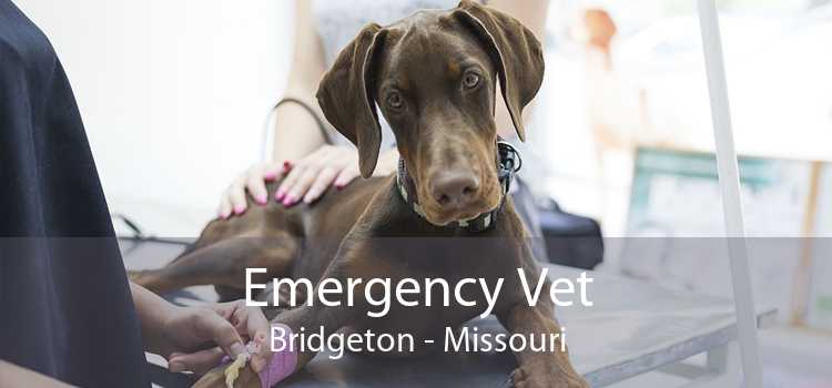 Emergency Vet Bridgeton - Missouri