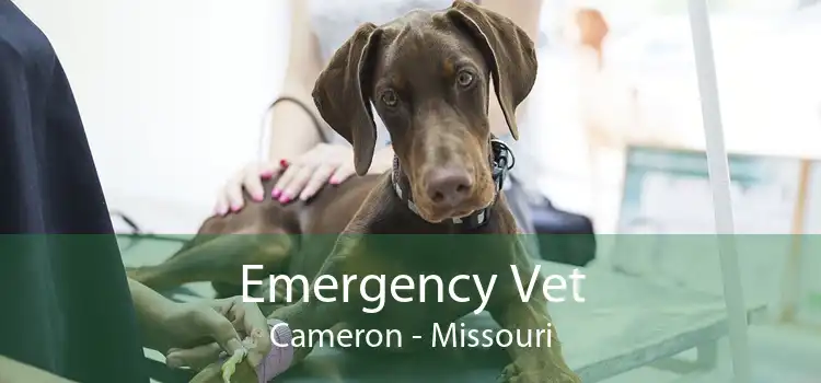 Emergency Vet Cameron - Missouri