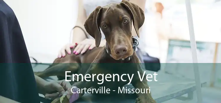 Emergency Vet Carterville - Missouri