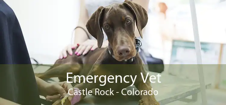Emergency Vet Castle Rock - Colorado