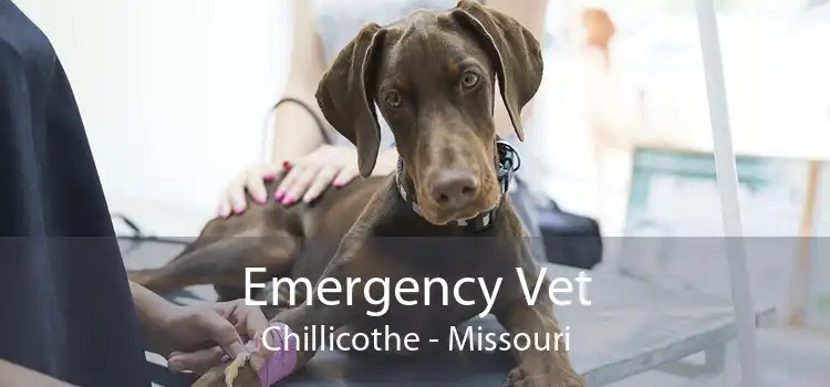 Emergency Vet Chillicothe - Missouri