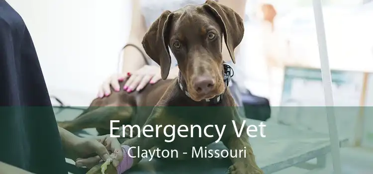 Emergency Vet Clayton - Missouri