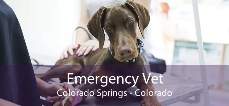 Emergency Vet Colorado Springs - Colorado