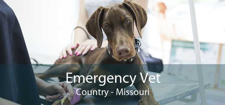 Emergency Vet Country - Missouri