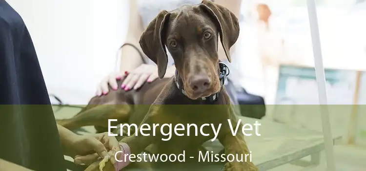 Emergency Vet Crestwood - Missouri