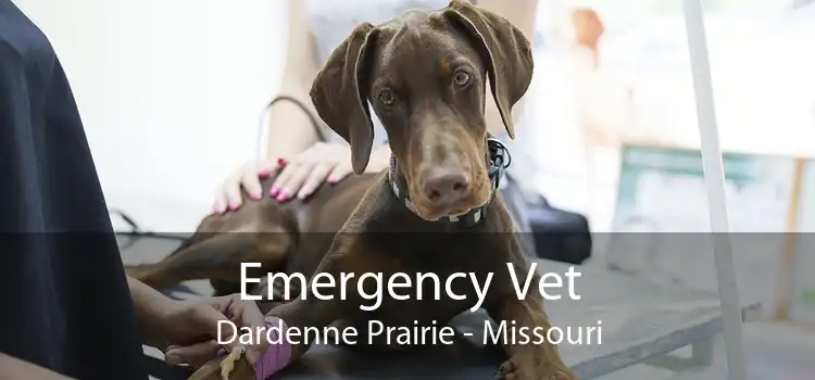 Emergency Vet Dardenne Prairie - Missouri