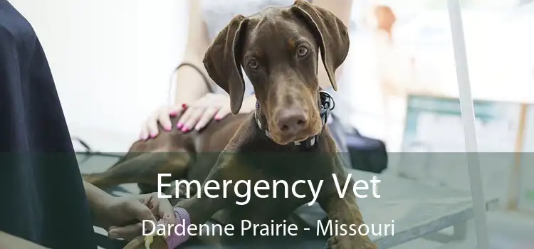 Emergency Vet Dardenne Prairie - Missouri