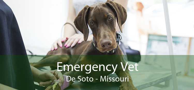 Emergency Vet De Soto - Missouri