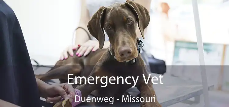 Emergency Vet Duenweg - Missouri