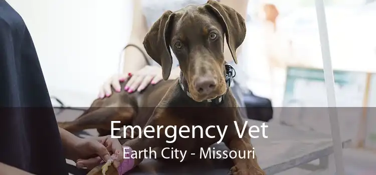 Emergency Vet Earth City - Missouri