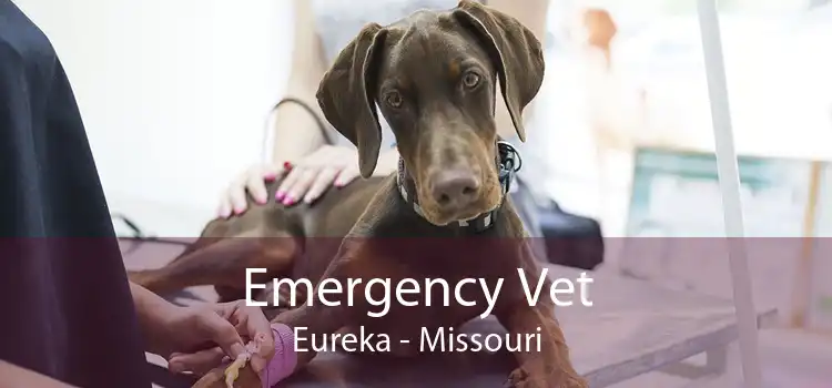 Emergency Vet Eureka - Missouri