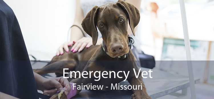 Emergency Vet Fairview - Missouri