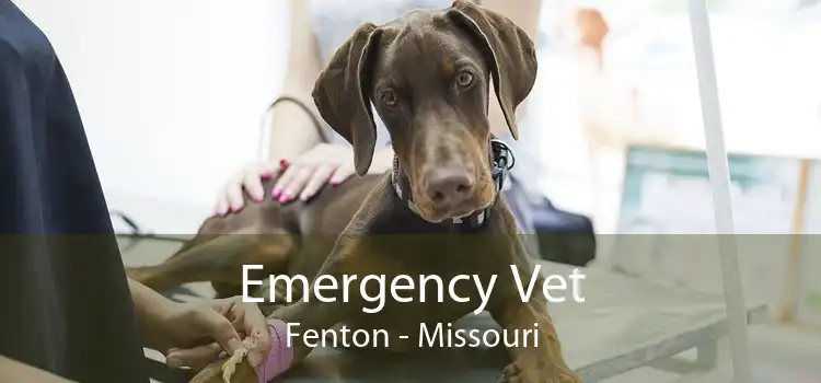 Emergency Vet Fenton - Missouri