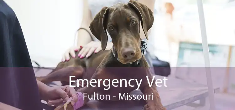 Emergency Vet Fulton - Missouri