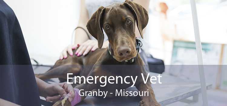 Emergency Vet Granby - Missouri