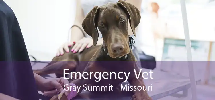 Emergency Vet Gray Summit - Missouri