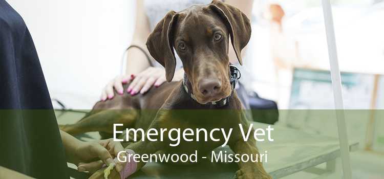 Emergency Vet Greenwood - Missouri