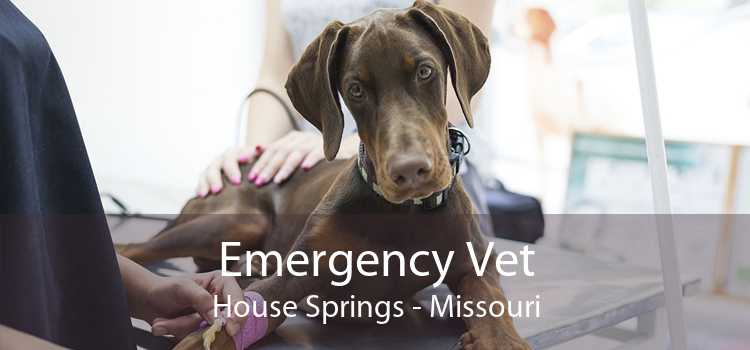 Emergency Vet House Springs - Missouri
