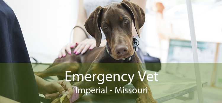 Emergency Vet Imperial - Missouri
