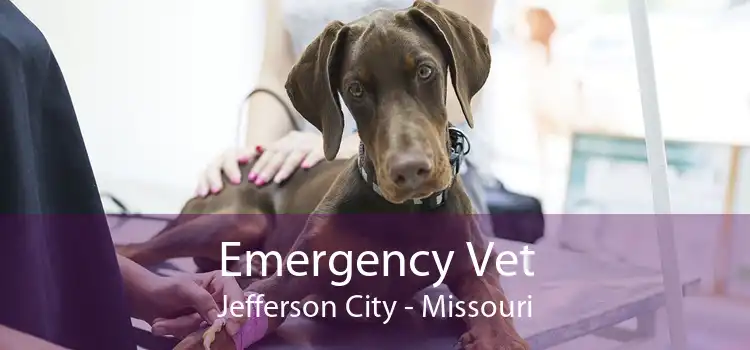 Emergency Vet Jefferson City - Missouri
