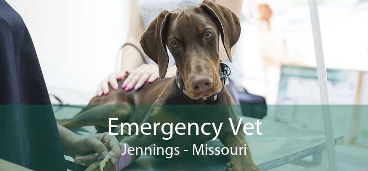 Emergency Vet Jennings - Missouri