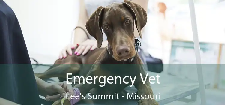 Emergency Vet Lee's Summit - Missouri
