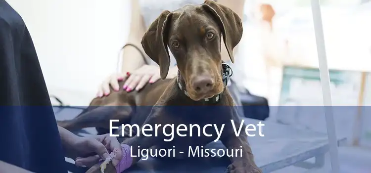 Emergency Vet Liguori - Missouri