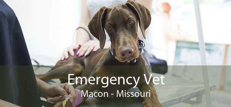 Emergency Vet Macon - Missouri