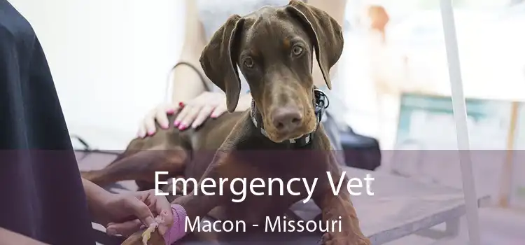 Emergency Vet Macon - Missouri