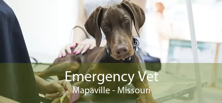 Emergency Vet Mapaville - Missouri