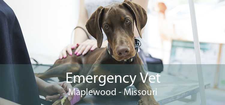 Emergency Vet Maplewood - Missouri