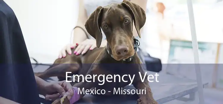 Emergency Vet Mexico - Missouri