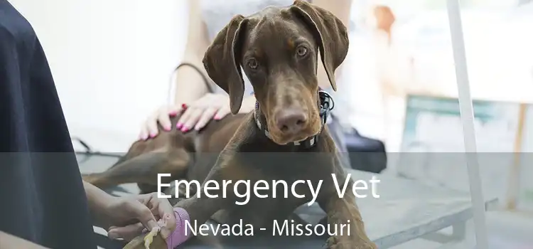 Emergency Vet Nevada - Missouri