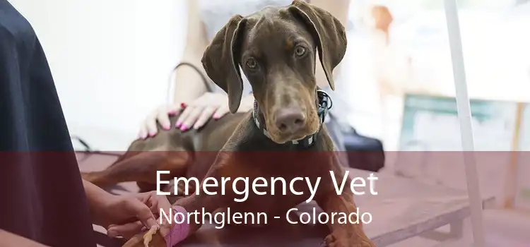 Emergency Vet Northglenn - Colorado